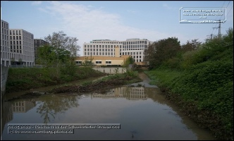 Der Bach Pleichach